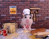 PIG 01 RK0201 02
Chef Boar R Dee