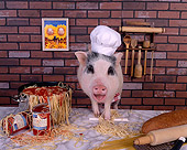 PIG 01 RK0201 06
Chef Boar R Dee
