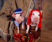 PIG 01 RK0204 27
Raggedy Ham & Hamdy