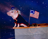 PIG 01 RK0211 06
Revolusham