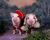 PIG 01 RK0215 01
Ham-sel And Gretal