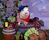 PIG 01 RK0235 02
Swine Maker Pig In Barrel Of Grapes