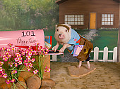 PIG 01 RK0242 03
Mailham