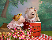PIG 01 RK0245 01
Pig Tales