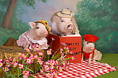 PIG 01 RK0245 03
Pig Tales