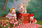 PIG 01 RK0245 04
Pig Tales