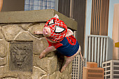 PIG 01 RK0246 02
Spider Ham