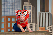 PIG 01 RK0246 03
Spider Ham