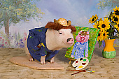 PIG 01 RK0248 01
Vincent Ham Go