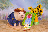 PIG 01 RK0248 04
Vincent Ham Go