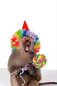 PRM 06 RK0067 01
Party Animal