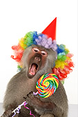 PRM 06 RK0068 01
Party Animal