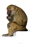 PRM 06 RK0089 01
The Thinker