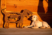 PUP 05 DB0018 01
Yellow Labrador Retriever Puppy Laying On Porch With Metal Sculpture Of Dog