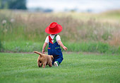 PUP 08 DS0007 01
Golden Retriever Puppy Following Child Across Grass