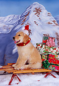 PUP 08 RK0312 03
Golden Retriever Puppy Sitting On Sleigh Wearing Santa Hat Mountains Background