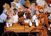 PUP 11 RK0024 11
A Group Of Puppies In Wooden Wagon With Bears