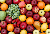 PUZ 01 GR0003 01
Fruit Assortment
