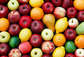 PUZ 01 GR0004 01
Fruit Assortment