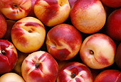 PUZ 01 GR0005 01
Nectarines