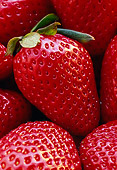 PUZ 01 GR0006 01
Strawberries