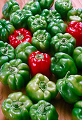 PUZ 01 RC0001 01
Green And Red Bell Peppers