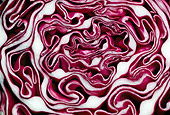 PUZ 01 RC0003 01
Red Cabbage Center