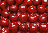 PUZ 01 RK0001 01
Red Apples