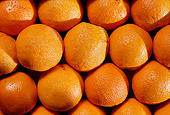 PUZ 01 RK0002 01
Oranges
