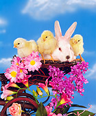 RAB 01 RK0034 01
Easter Bunny And Chicks In Basket By Flowers Cloudy Blue Sky