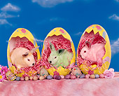 RAB 01 RK0026 06
Colorful Easter Bunnies In Egg Shells Blue Sky