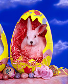 RAB 01 RK0028 03
Colored Bunny Sitting In Easter Egg Blue Sky