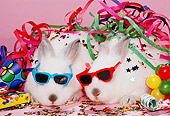 RAB 01 RK0050 07
Two White Rabbits Wearing Sunglasses With Party Decorations