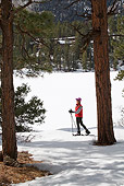 REC 02 RW0004 01
Person Cross-Country Skiing In Forest