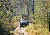 REC 05 DS0002 01
People In Jeep Driving Through Forest Watching Wildlife