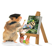 ROD 01 JE0004 01
Golden Hamster Painting Portrait On White Seamless
