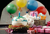 ROD 06 RS0001 01
White Mouse Having Birthday Party With Cake Balloons Presents