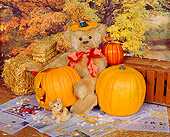 TED 01 RK0021 01
Teddy Bear With Pumpkins
Tracey Roe Bears