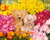 TED 01 RK0047 08
Flower Bears Christine Jesser Collection