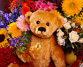 TED 01 RK0052 02
Light Brown Teddy Bear Surrounded By Flowers Bee On Hand