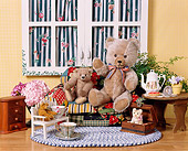 TED 01 RK0056 12
Teddy Bear Tea Party