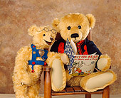 TED 01 RK0070 04
Teddy Bears Reading Book