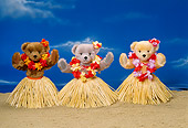 TED 01 RK0440 18
Three Bear Hawaiian Hula Dancers On Sand Blue Sky
BM Wright Bears