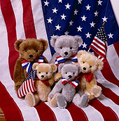 TED 01 RK0898 05
Five Teddy Bears With American Flags BM Wright Bears