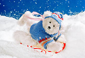 TED 01 RK1004 21
Teddy Bear Sledding Starry Night Ted E Tail Bears