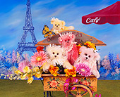 TED 01 RK1040 03
Flower Teddy Bears In Paris 
Joan Woessner Bears