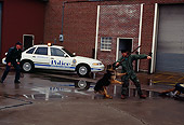 TMP 01 RK0003 01
Law Enforcement Lexington Police With Dog And Bad Guy