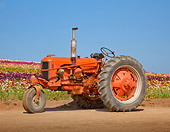 TRA 01 RK0174 01
1945 J.I. Case DC Tractor Red Profile View On Dirt By Field Of Flowers