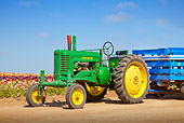 TRA 01 RK0176 01
1949 John Deere A Green And Yellow 3/4 Front View On Dirt By Field Of Flowers