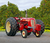 TRA 01 RK0198 01
1949 Cockshutt 40 Tractor Red 3/4 Front View On Pavement By Orange Trees